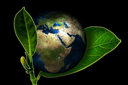 Eco-Friendly-Hand-Wash--in-Jamul-California-Eco-Friendly-Hand-Wash-6750234-image